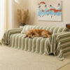 All-Season Breathable Chenille Scratch-Resistant S