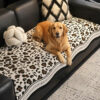 Chenille All-Season Irregular-Shaped Non-Slip Sofa