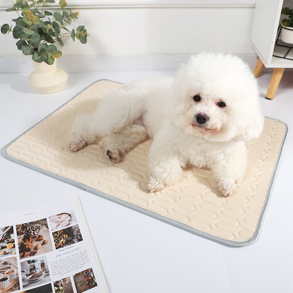 Cooling Washable Non-Slip Breathable Ice Silk Dog