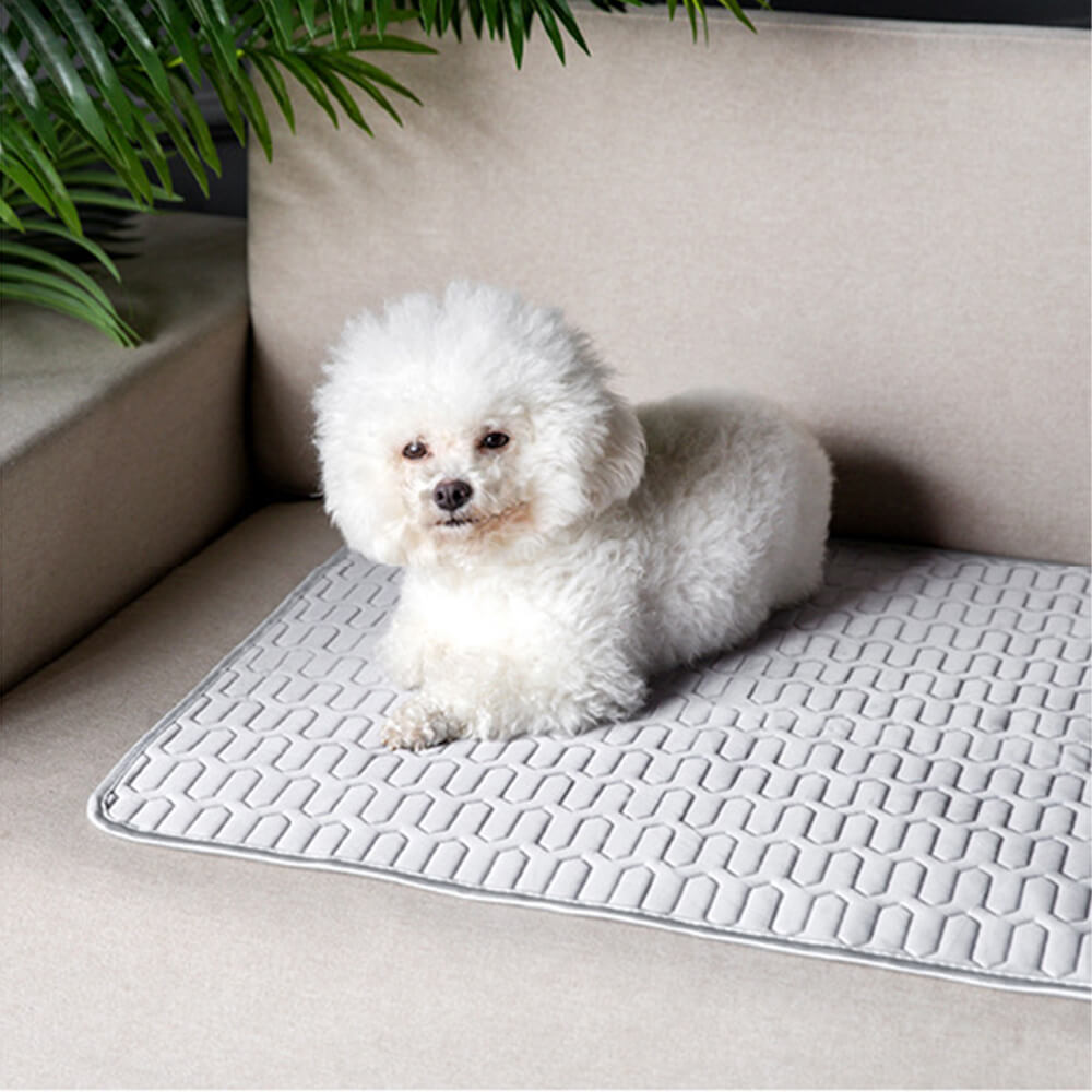 Cooling Washable Non-Slip Breathable Ice Silk Dog