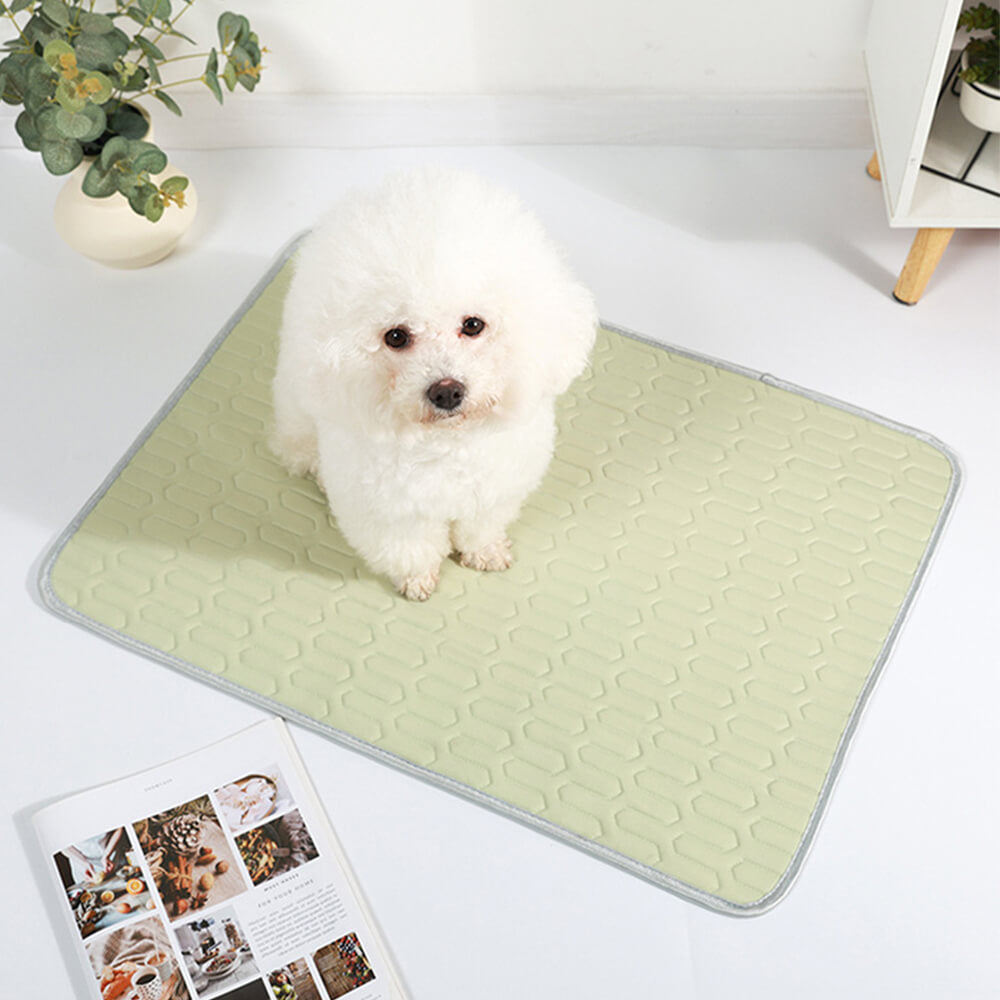 Cooling Washable Non-Slip Breathable Ice Silk Dog