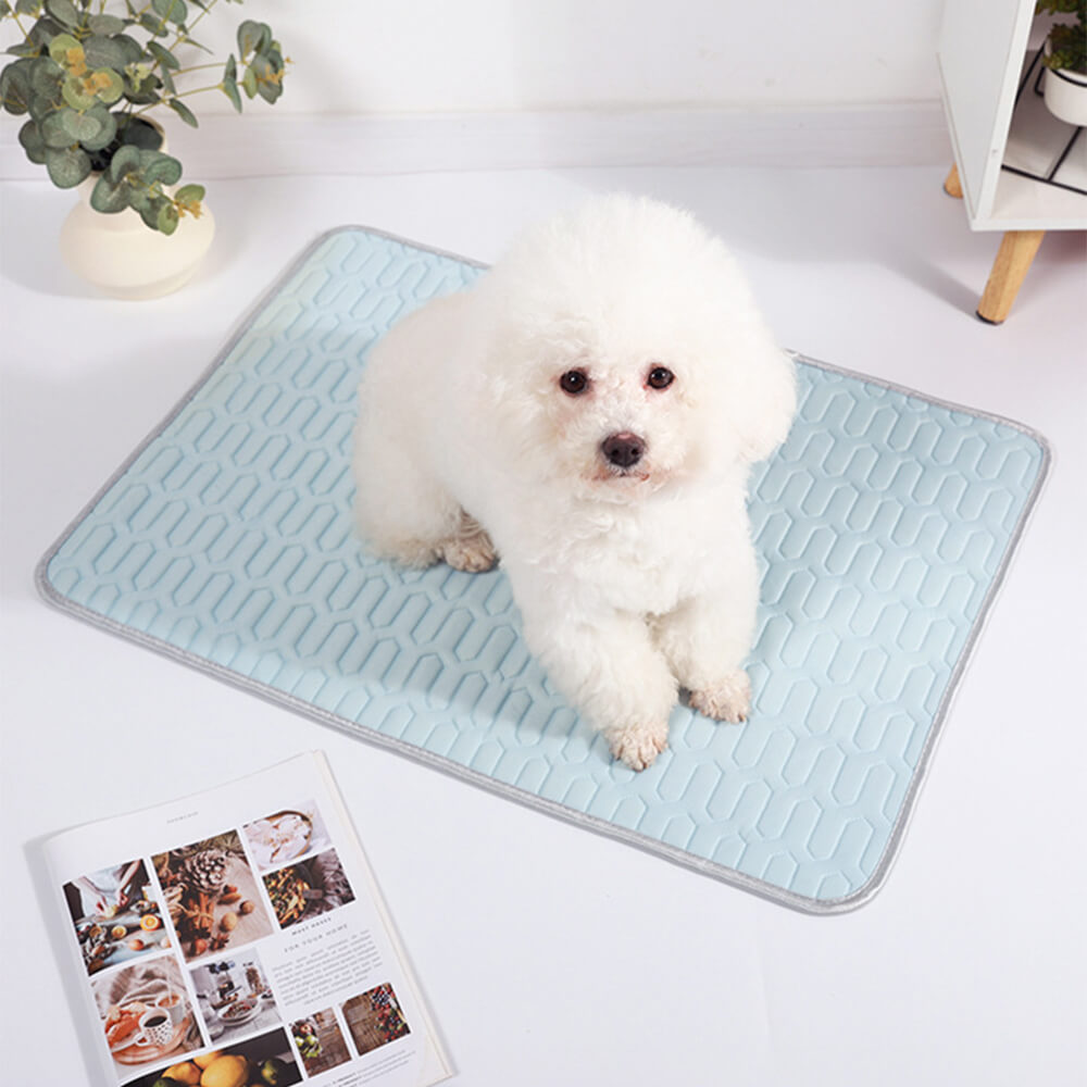 Cooling Washable Non-Slip Breathable Ice Silk Dog