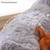 Cozy Full Support Warm Removable Washable Dog & Ca