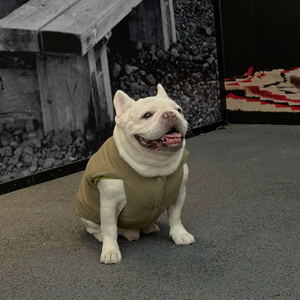 Fashion Reversible Padded Thick Warm Dog Jacket
