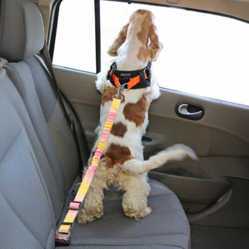 Gradient Elastic Shock-Absorbing Pet Car Safety Be