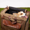 Large Space Breathable Mesh Waterproof Travel Pet 
