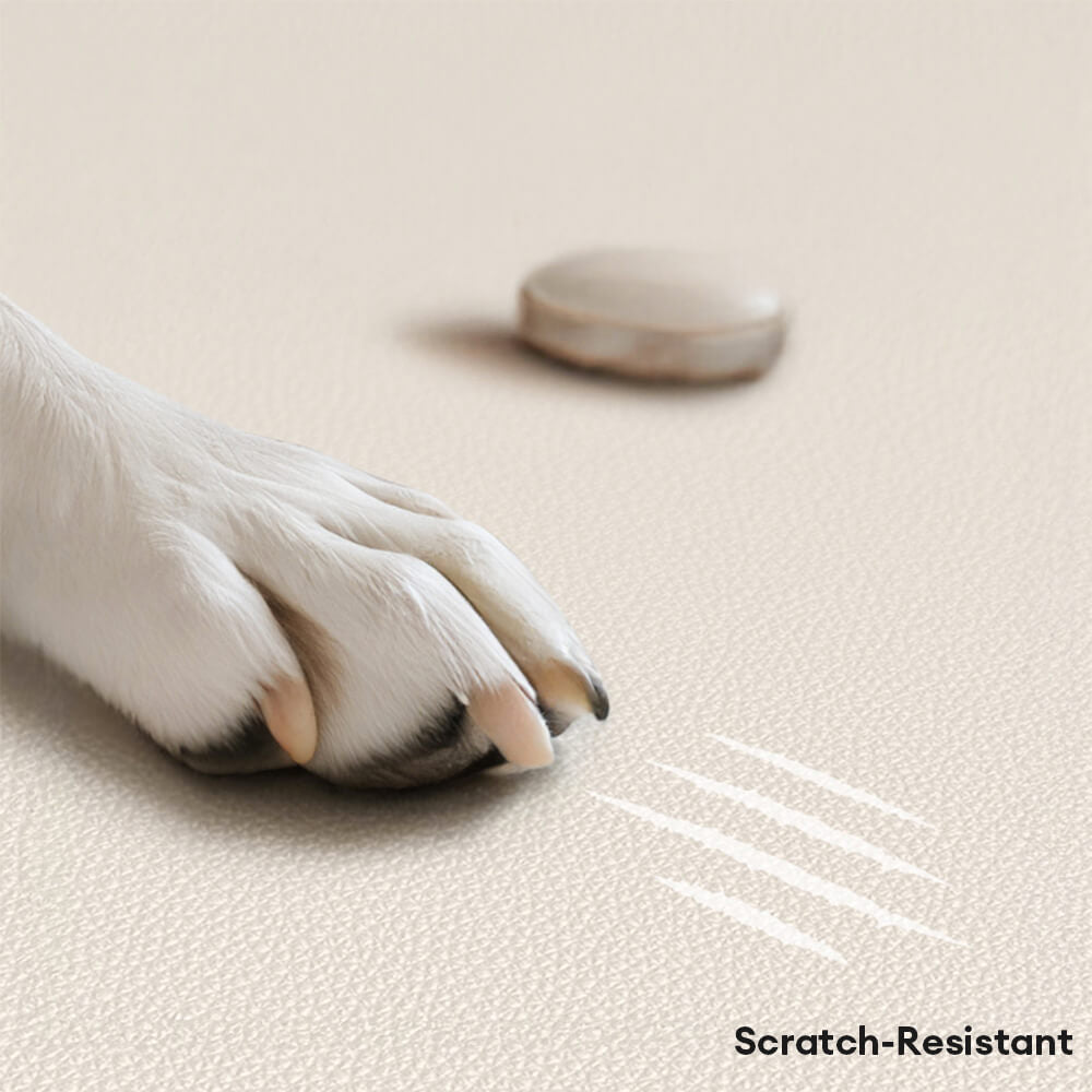 Luxury Natural Latex Supportive Anti-Scratch Dog &