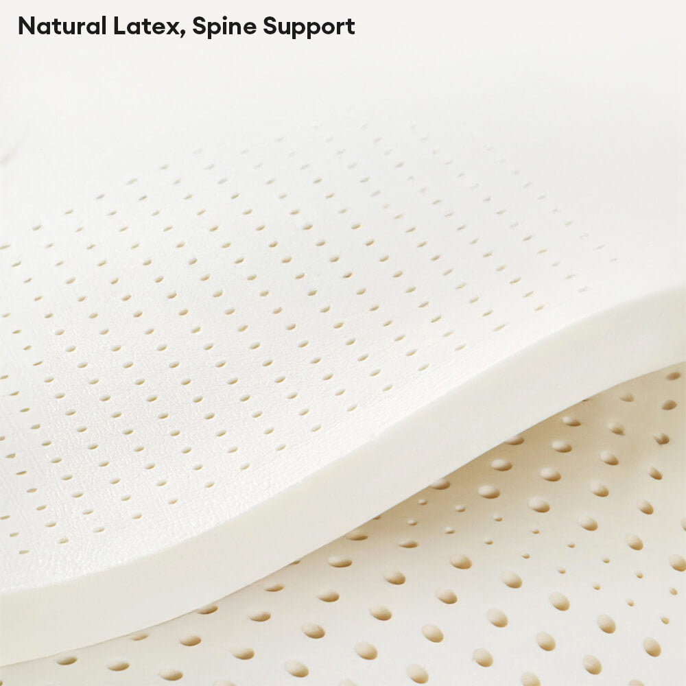 Luxury Natural Latex Supportive Anti-Scratch Dog &