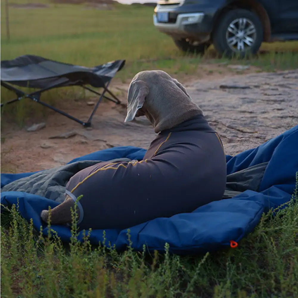 Outdoor Campsite Moisture-Proof And Waterproof Por