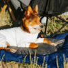 Outdoor Campsite Moisture-Proof And Waterproof Por