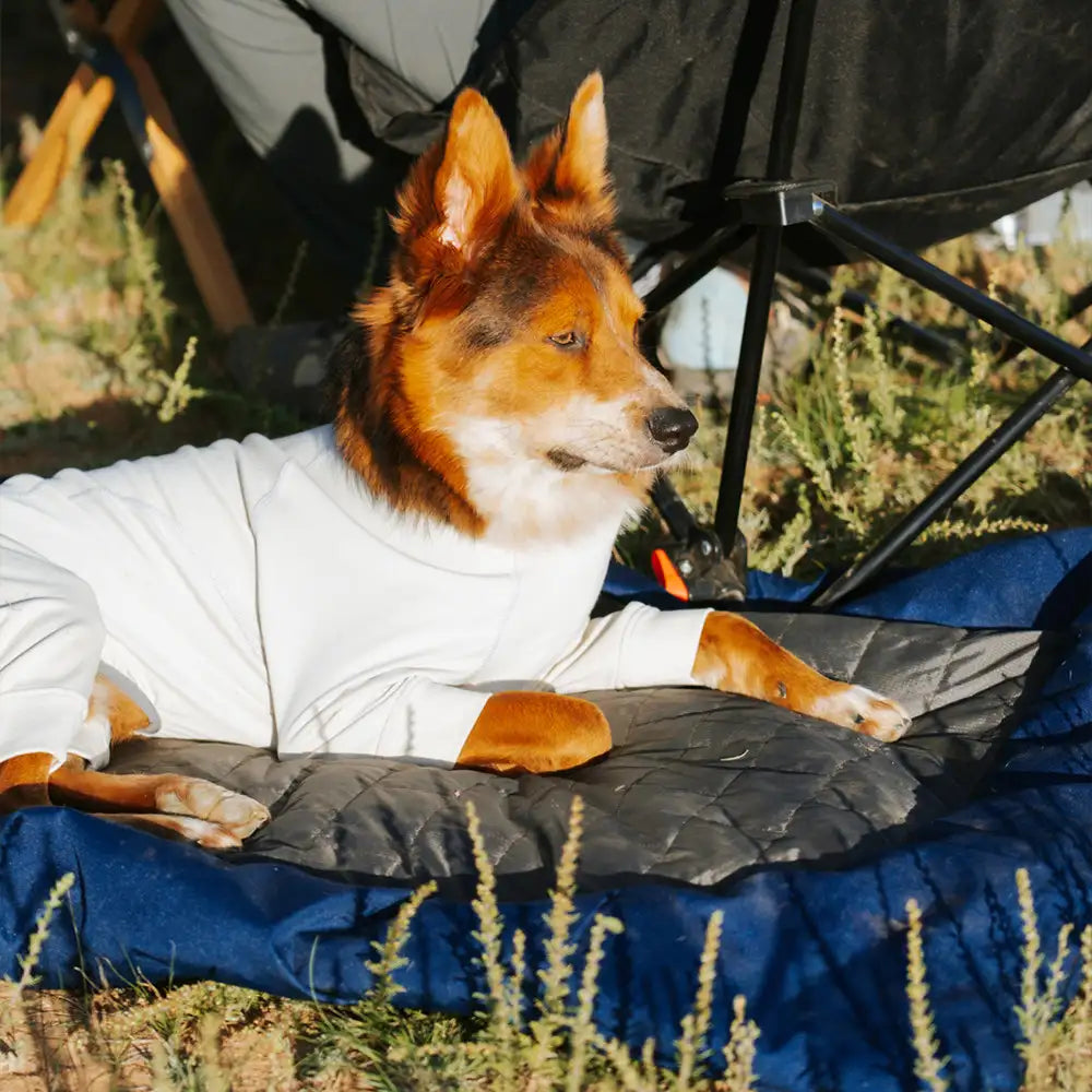 Outdoor Campsite Moisture-Proof And Waterproof Por