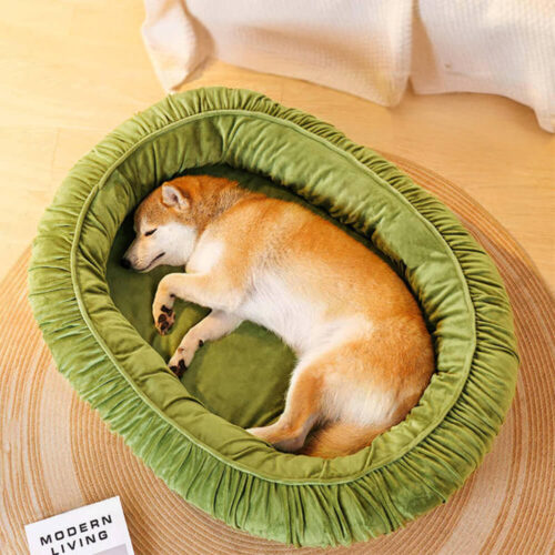 Oval Orthopedic Support Cozy Sleeping Detachable D