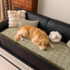 Pet-Friendly Chenille Textured Non-Slip Couch Cove
