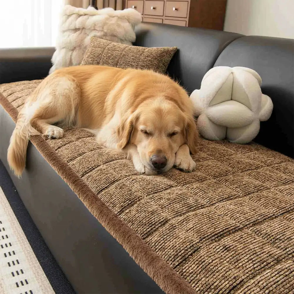 Pet-Friendly Chenille Textured Non-Slip Couch Cove