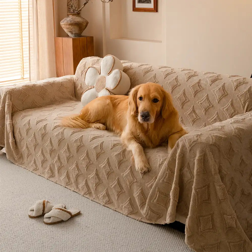 Star Series Plush Multifunctional Sofa Protective