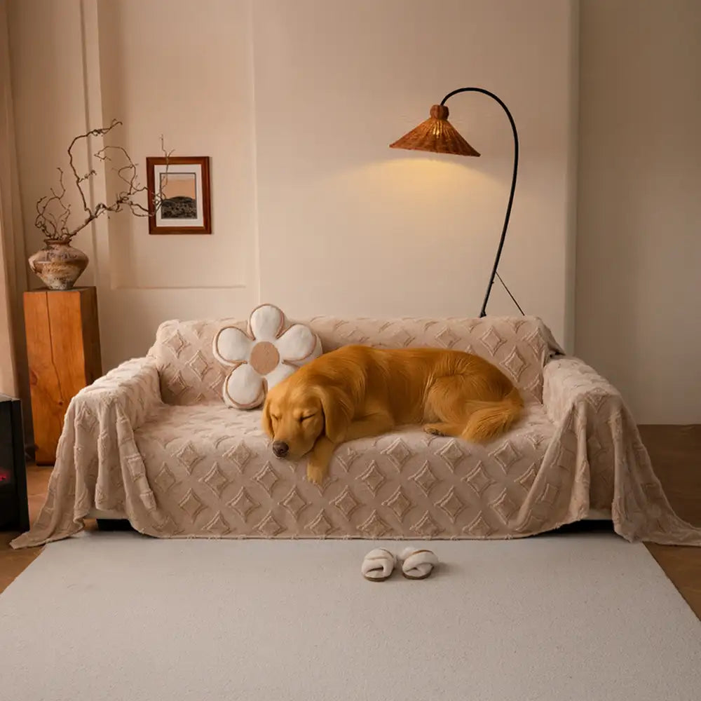 Star Series Plush Multifunctional Sofa Protective