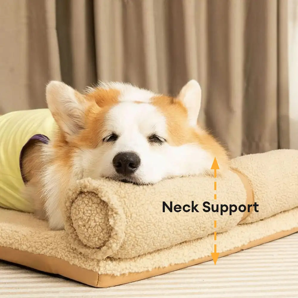 Teddy Fluffy Deep Sleep Large Space Pillow Dog Bed