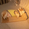Teddy Fluffy Deep Sleep Large Space Pillow Dog Bed