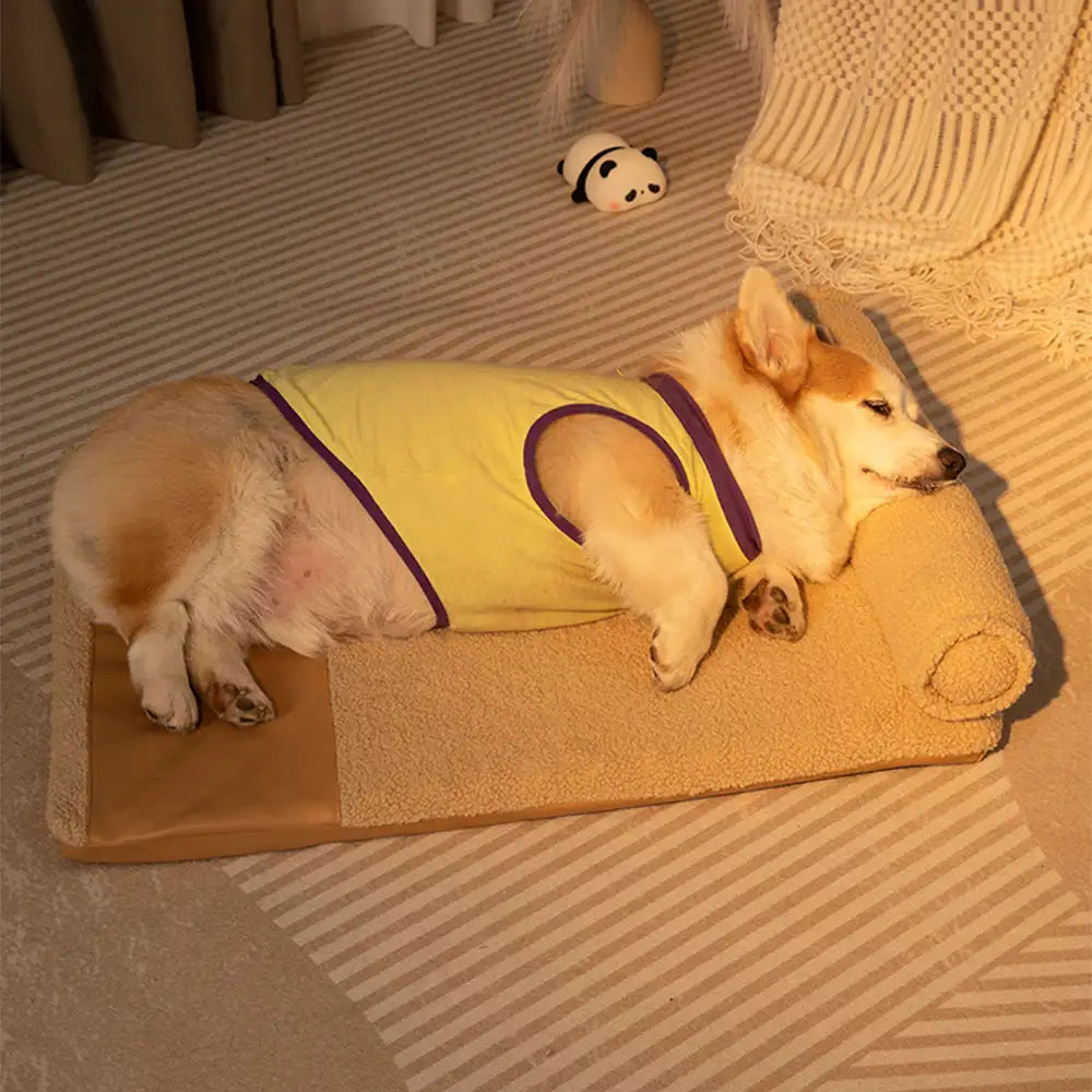 Teddy Fluffy Deep Sleep Large Space Pillow Dog Bed