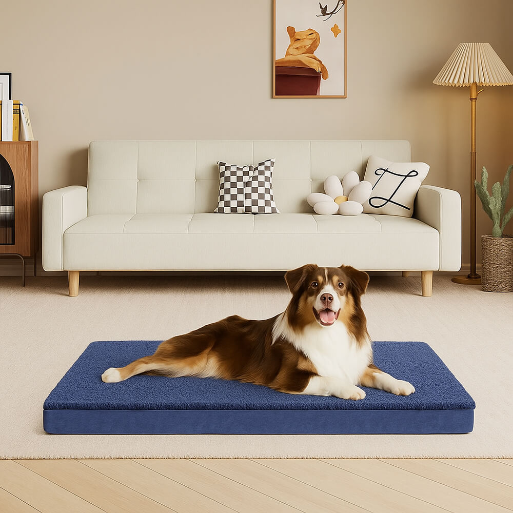 Waterproof Orthopedic Removable Memory Foam Large