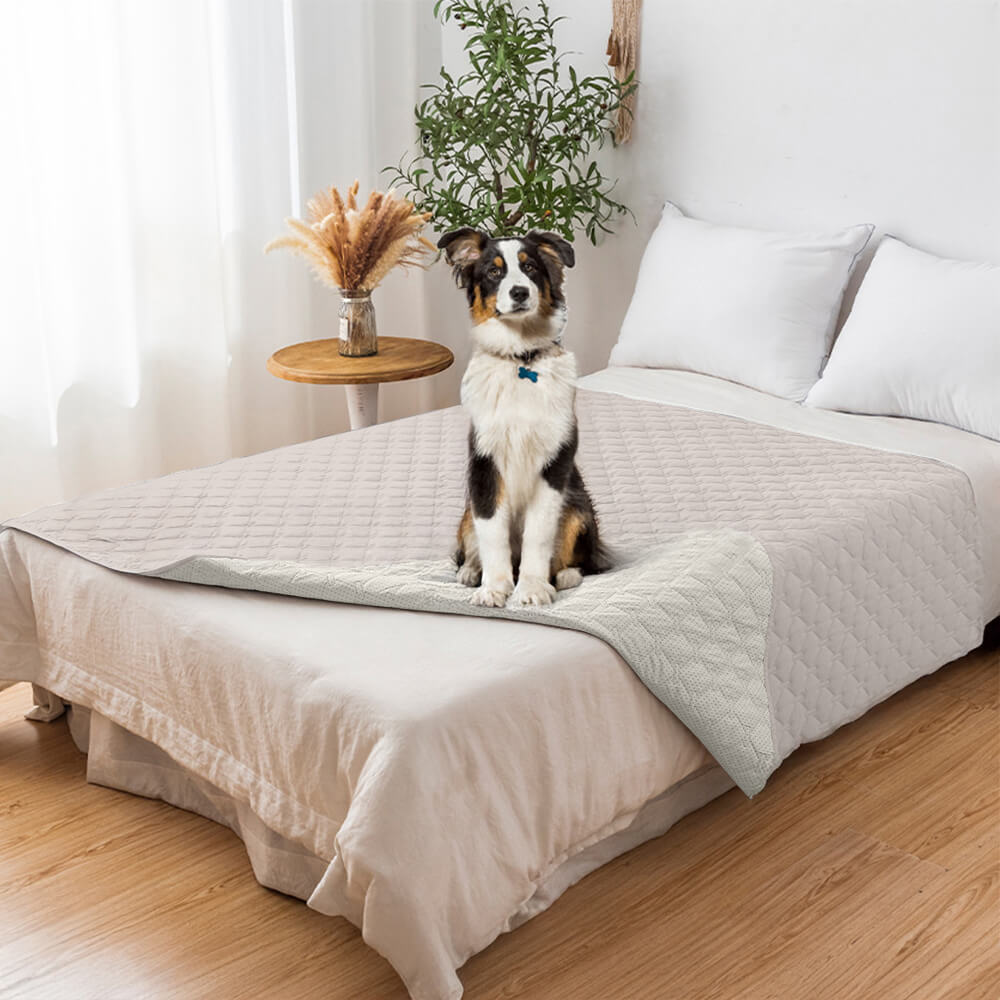 Waterproof & Non-Slip Diamond Quilted Pet Couch Co