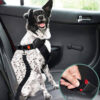 Car Seat Belt Buffer Adjustable Cool Dog Accessori