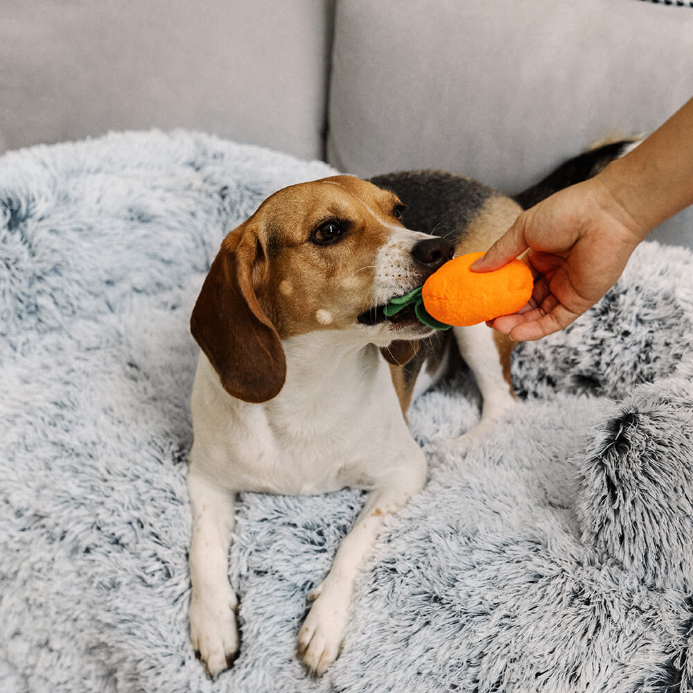 Calming Furniture Protector Dog Bed - Fuzzy Backre
