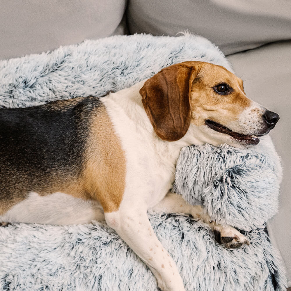 Calming Furniture Protector Dog Bed - Fuzzy Backre