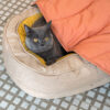 Leaf Shape Dog Blanket