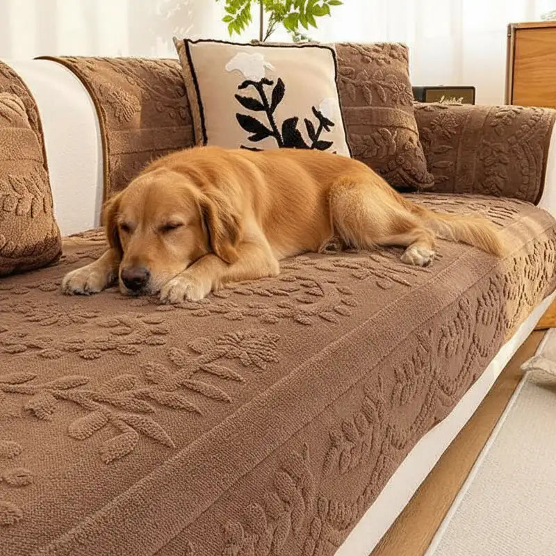 Jacquard Plush Comfortable Scratch-Resistant Non-S