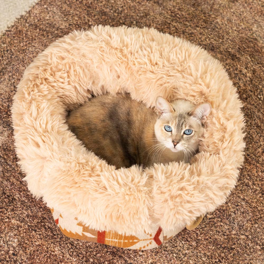 Large Reversible All-Season Indie Boho Cat Carrier
