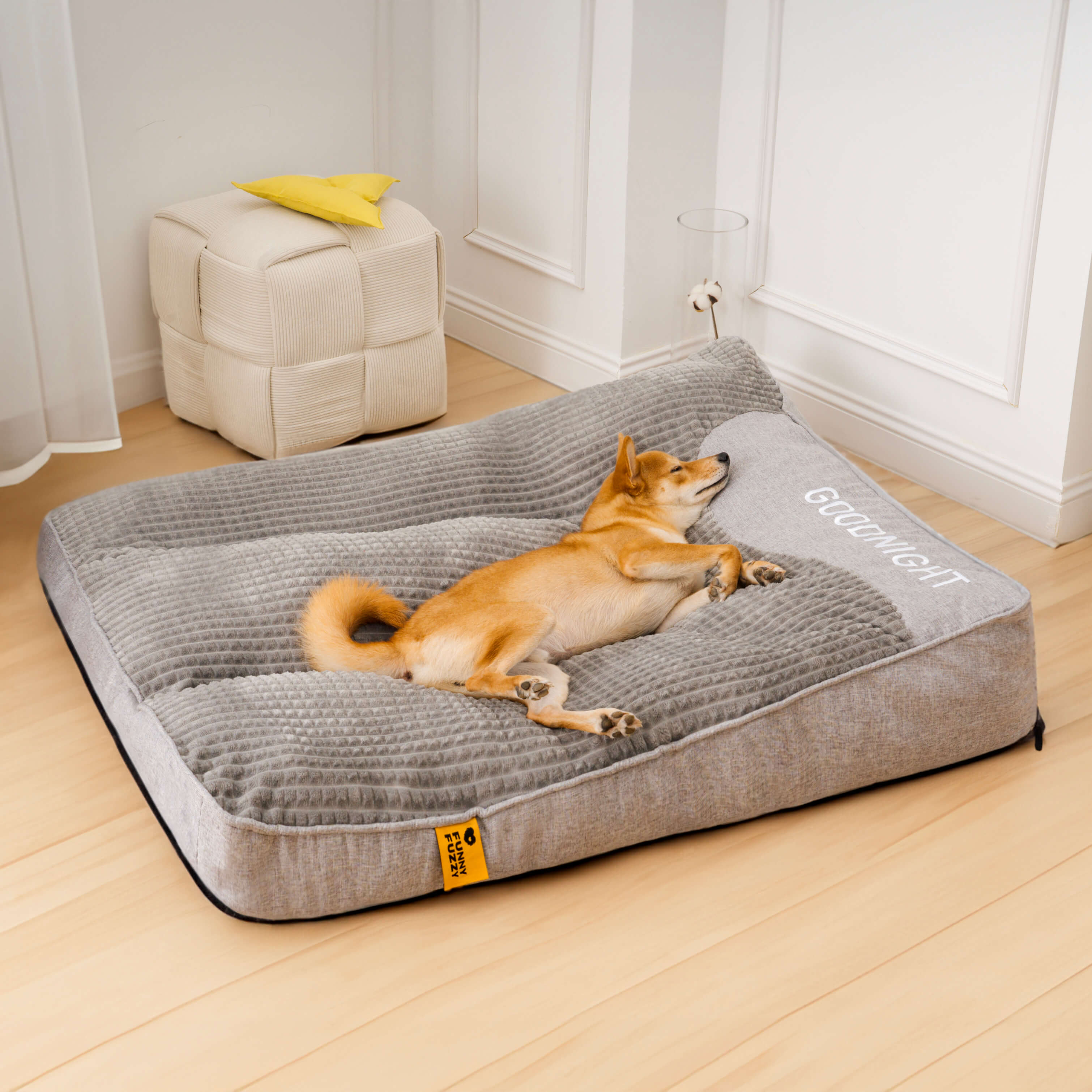 Large Thick Scratch-resistant Spine Protection Dog