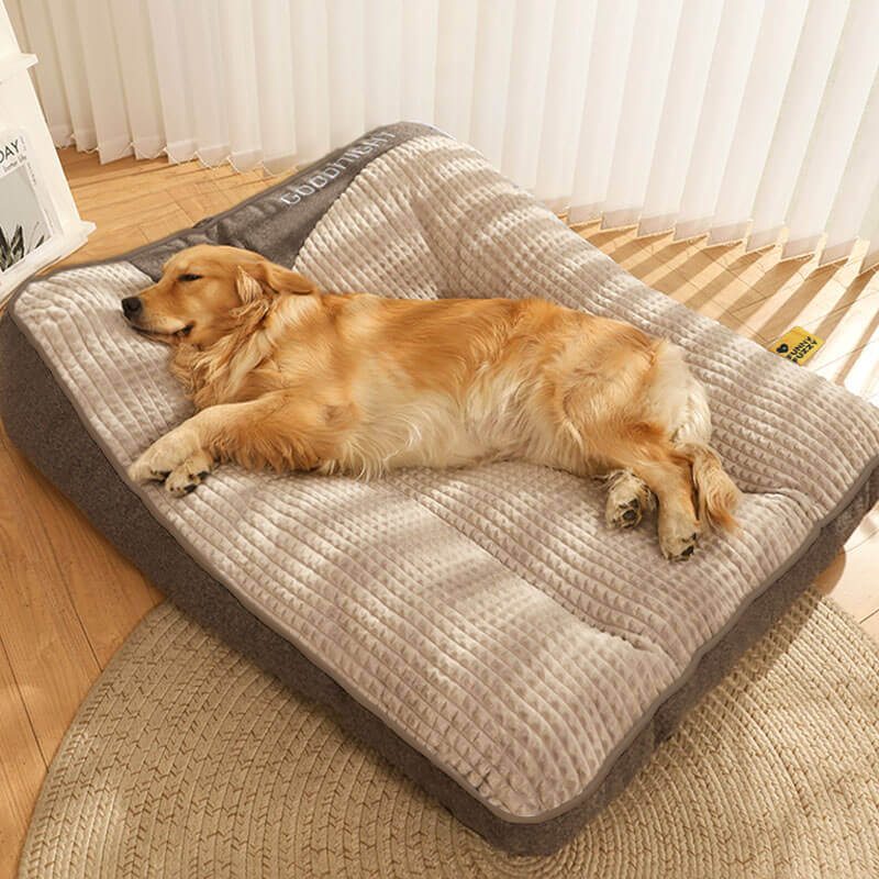 Large Thick Scratch-resistant Spine Protection Dog