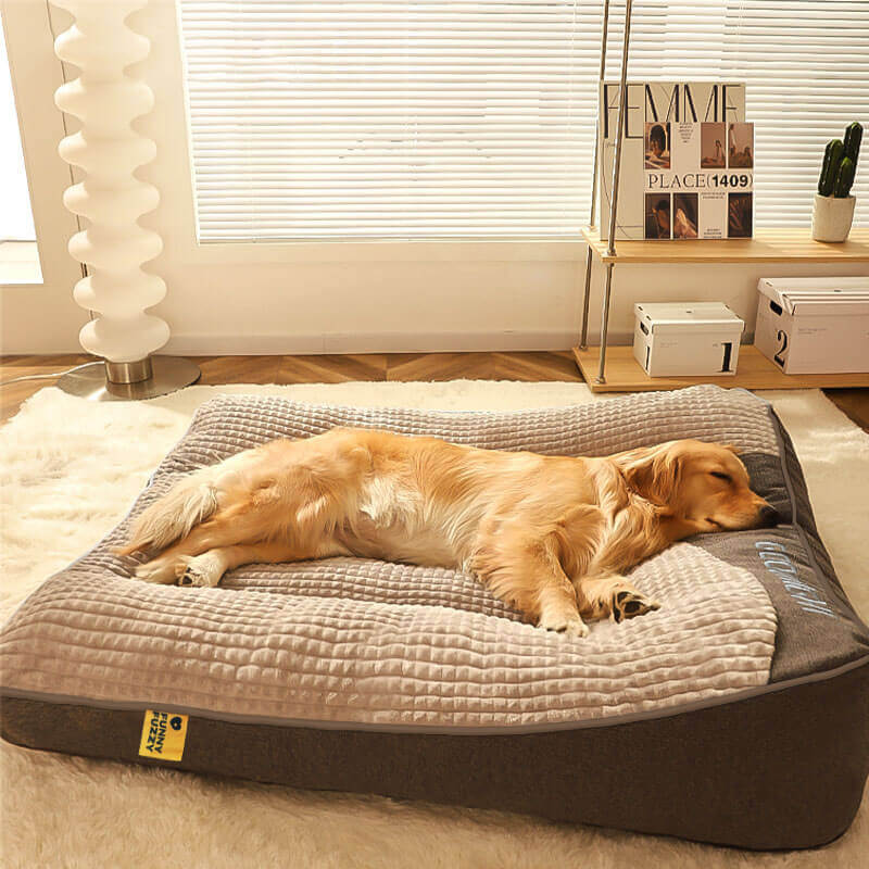Large Thick Scratch-resistant Spine Protection Dog