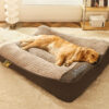 Large Thick Scratch-resistant Spine Protection Dog