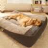 Large Thick Scratch-resistant Spine Protection Dog