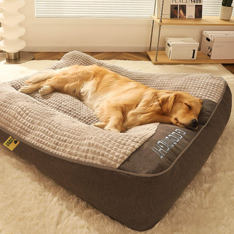 Large Thick Scratch-resistant Spine Protection Dog