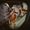 Large Deluxe Faux Leather Dog Car Seat Booster Bed