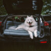 Large Deluxe Faux Leather Dog Car Seat Booster Bed