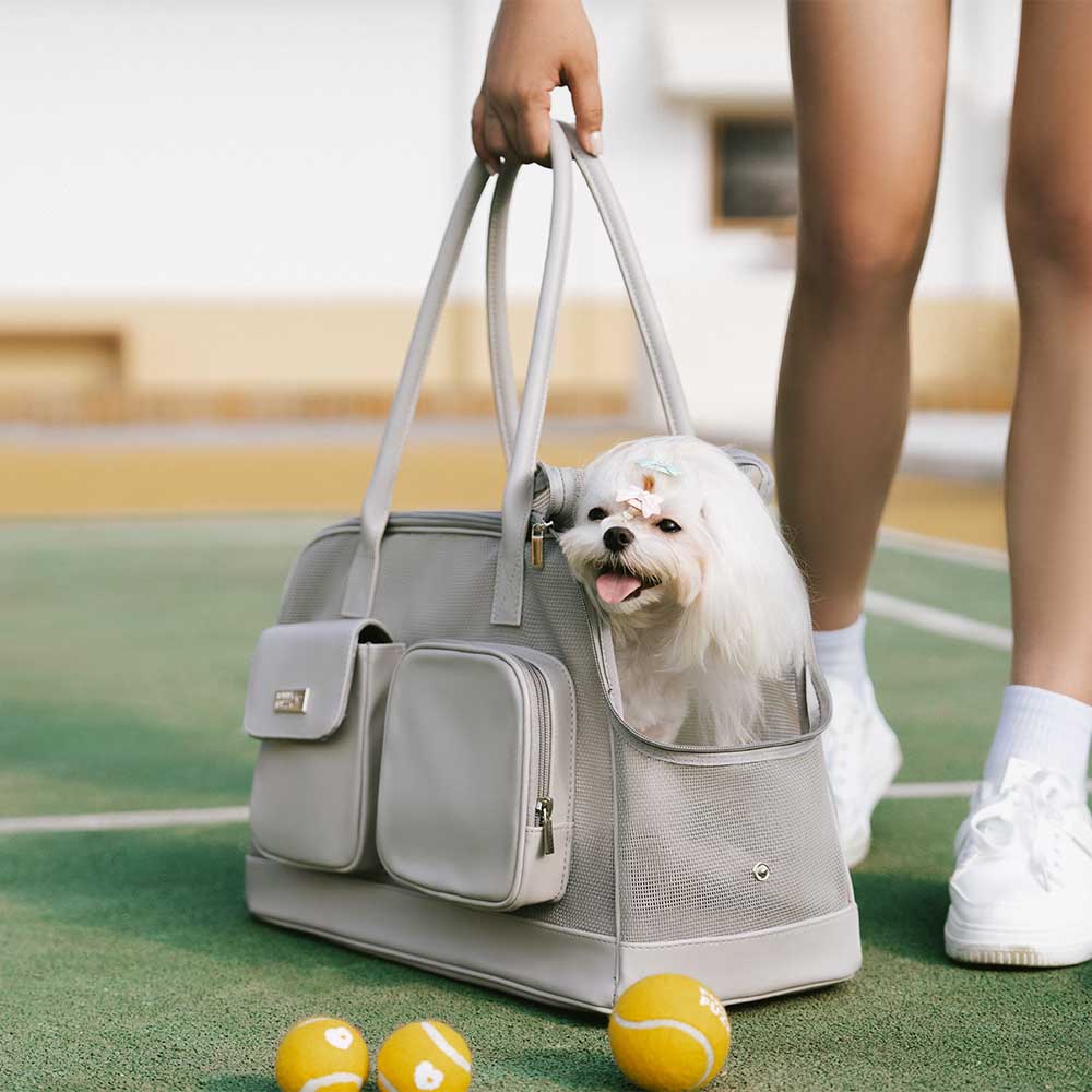 Lightweight Breathable Mesh Safe Pet Carrier - Urb