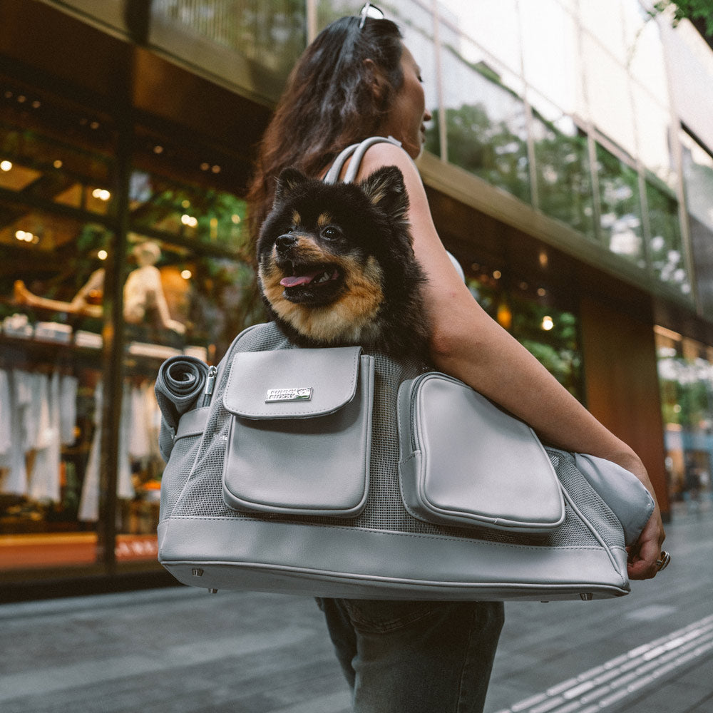Lightweight Breathable Mesh Safe Pet Carrier - Urb
