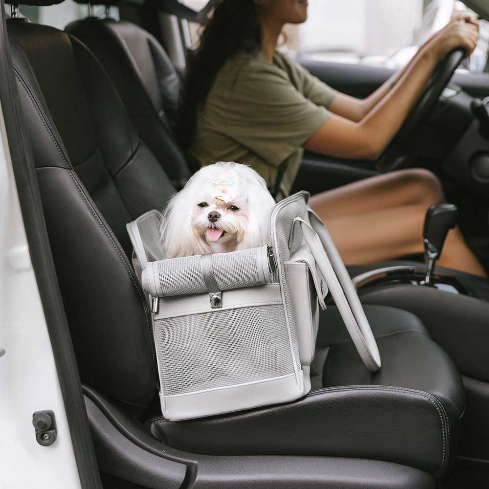 Lightweight Breathable Mesh Safe Pet Carrier - Urb