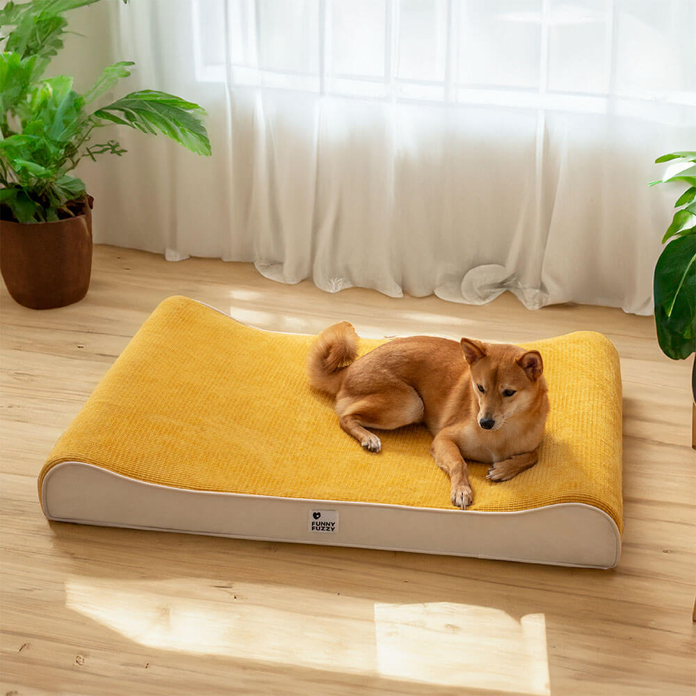 Luxurious Nobility Dog Lounge Chair Orthopedic Dog