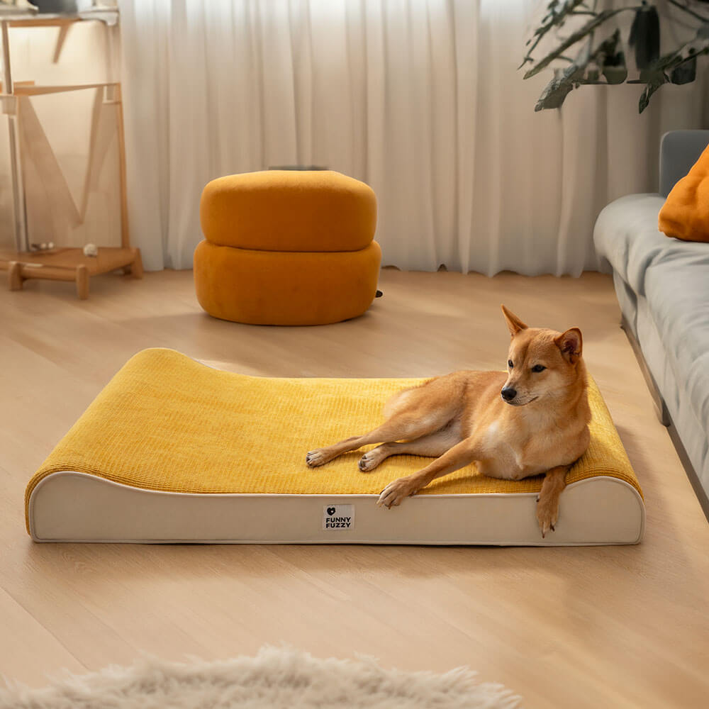 Luxurious Nobility Dog Lounge Chair Orthopedic Dog