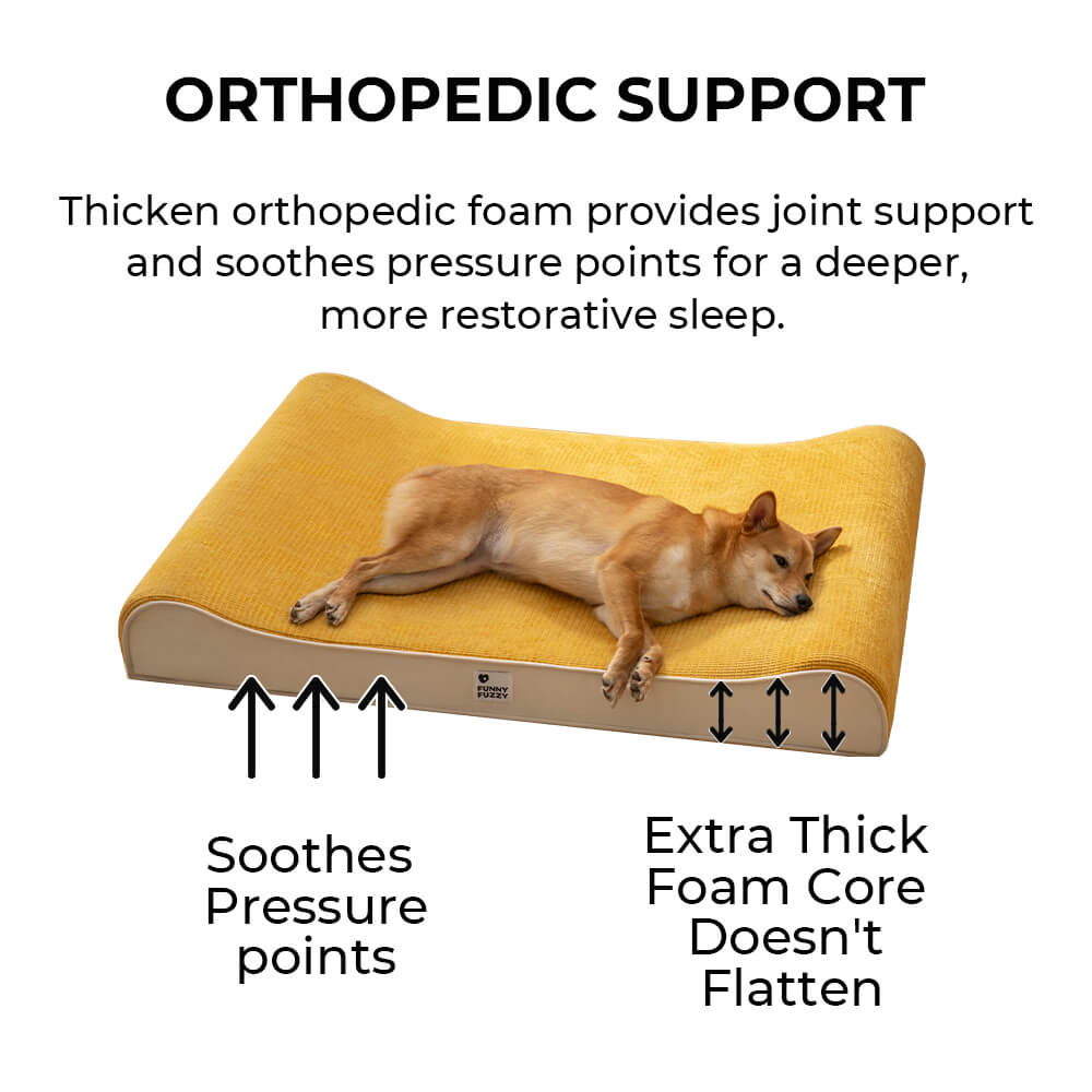 Luxurious Nobility Dog Lounge Chair Orthopedic Dog