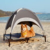 Multi-Functional Breathable Cooling Elevated Dog B