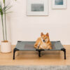 Multi-Functional Breathable Cooling Elevated Dog B