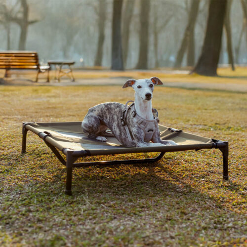 Multi-Functional Breathable Cooling Elevated Dog B