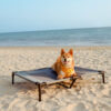 Multi-Functional Breathable Cooling Elevated Dog B