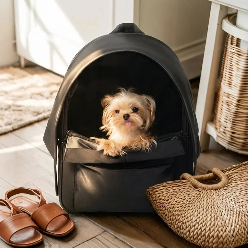 Outdoor Travel Expandable Breathable Cat Carrier B
